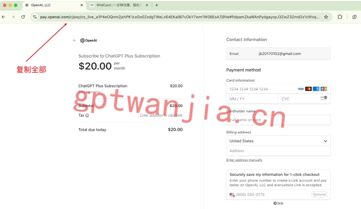 WildCard升级获得ChatGPT支付链接